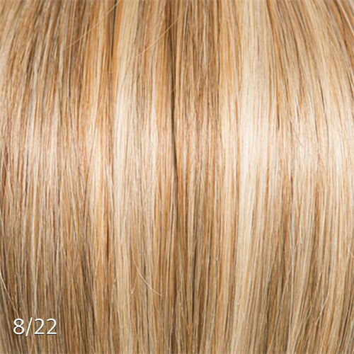 Clip Ins with Highlights/Color