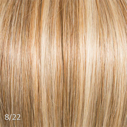 Clip Ins with Highlights/Color