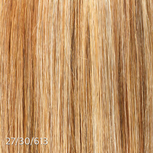 Clip Ins with Highlights/Color