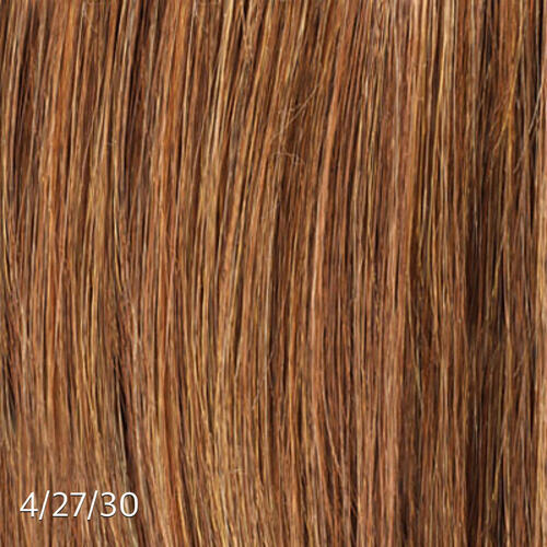 Clip Ins with Highlights/Color
