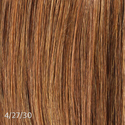Clip Ins with Highlights/Color