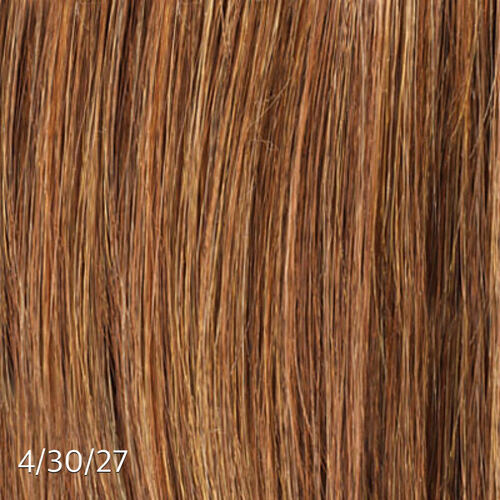 Clip Ins with Highlights/Color