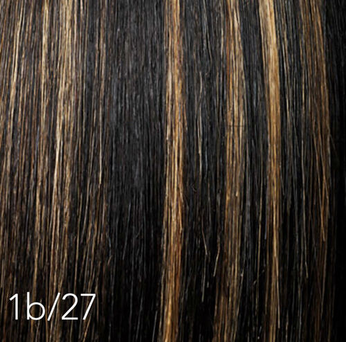 Clip Ins with Highlights/Color