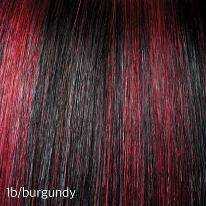 Clip Ins with Highlights/Color