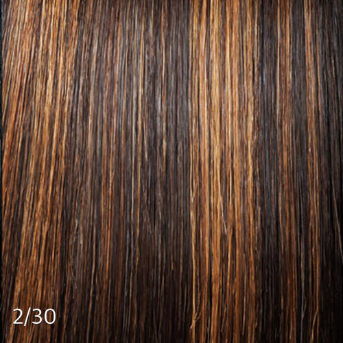 Clip Ins with Highlights/Color
